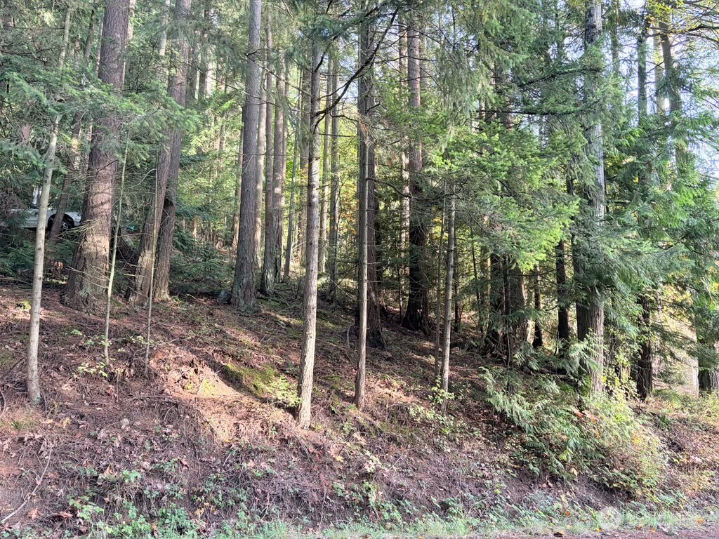 0 Xxx Emerald Lake Lot# 122 Way Property Photo 2