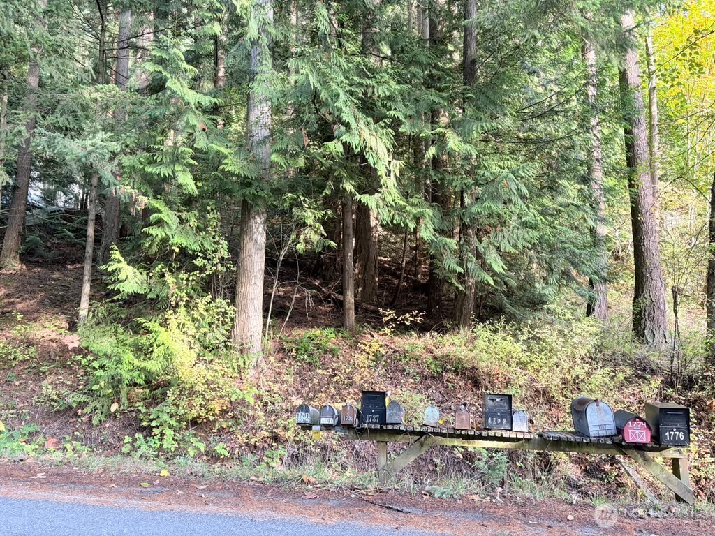 0 Xxx Emerald Lake Lot# 122 Way Property Photo 3