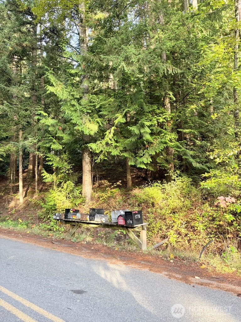 0 Xxx Emerald Lake Lot# 122 Way Property Photo 4