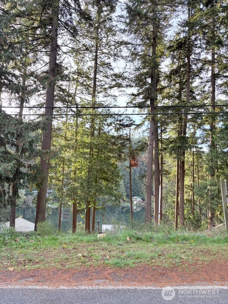 0 Xxx Emerald Lake Lot# 122 Way Property Photo 5