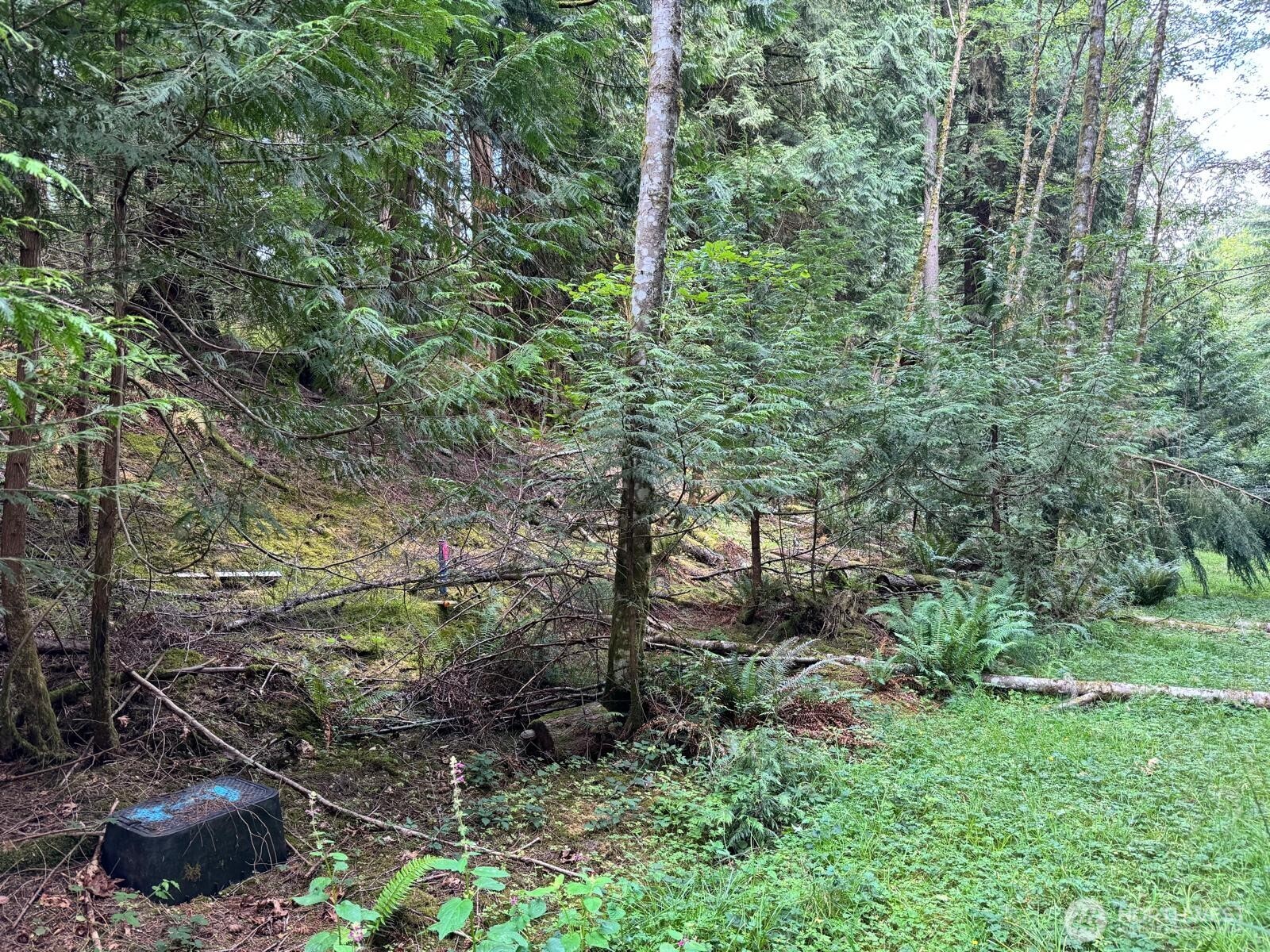 17 Black Bear Court Property Photo 1
