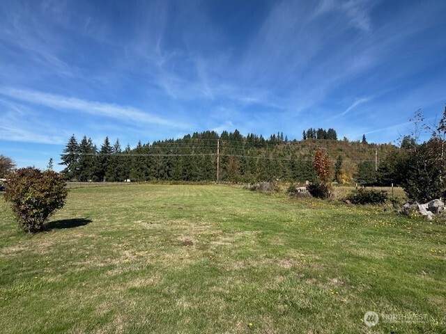 296 Mossyrock Road Property Photo 18
