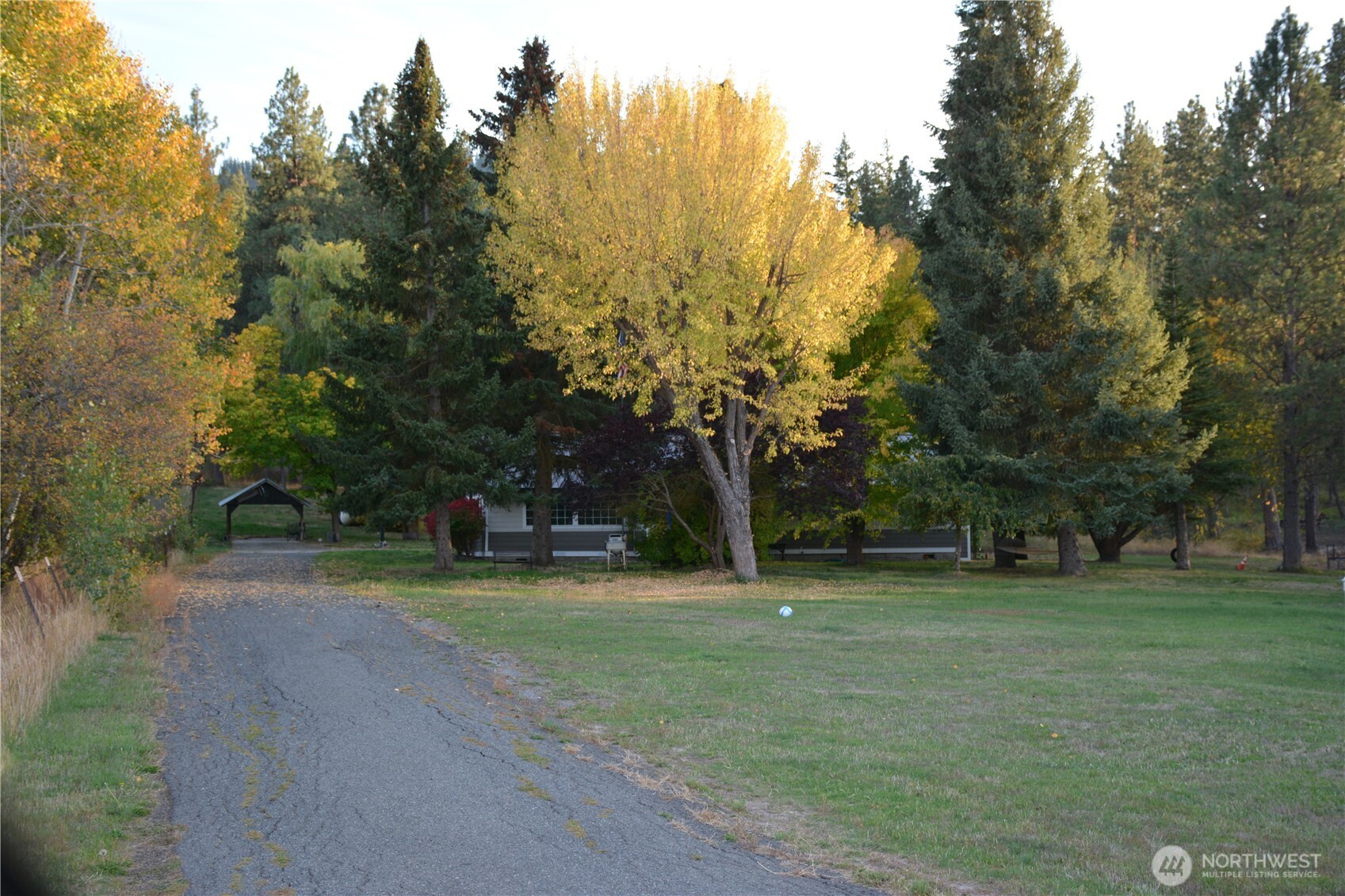 11231 Hwy 970 Property Photo 4