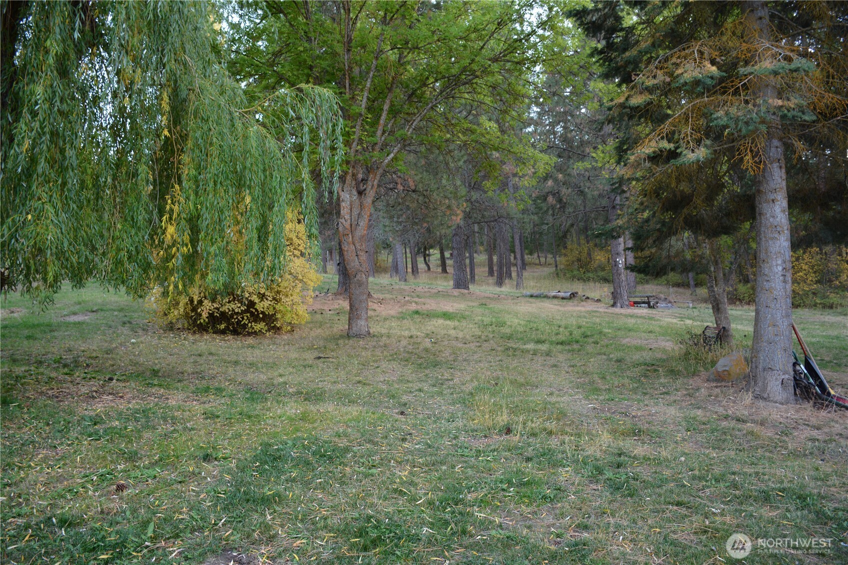 11231 Hwy 970 Property Photo 5