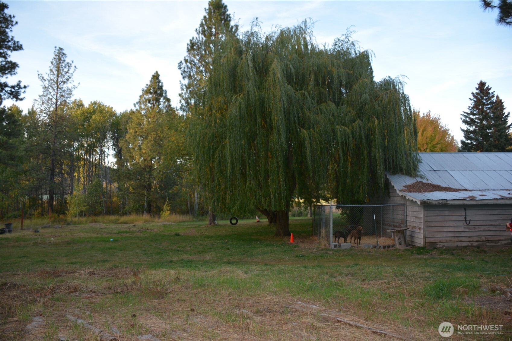 11231 Hwy 970 Property Photo 7
