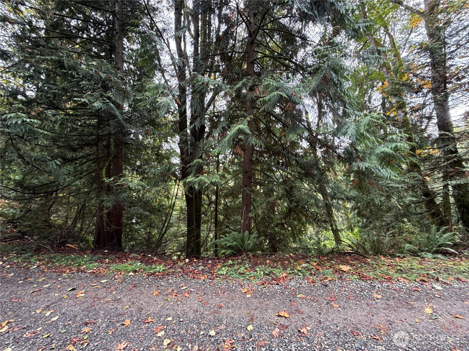 376 Xx E Lake Walker Drive A Property Photo 4
