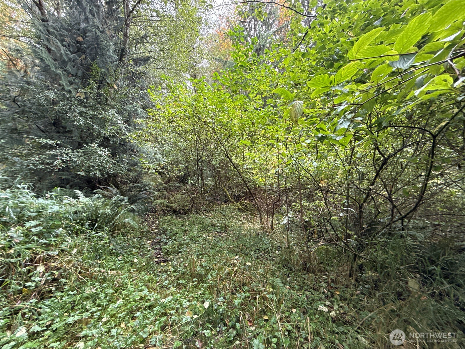 376 Xx E Lake Walker Drive A Property Photo 9