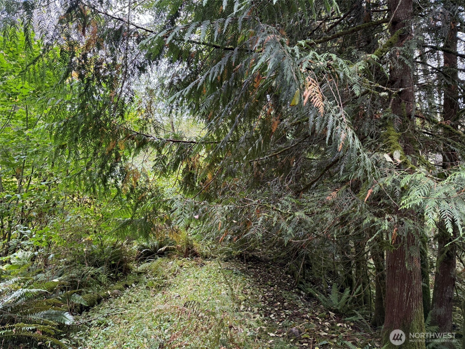 376 Xx E Lake Walker Drive A Property Photo 11