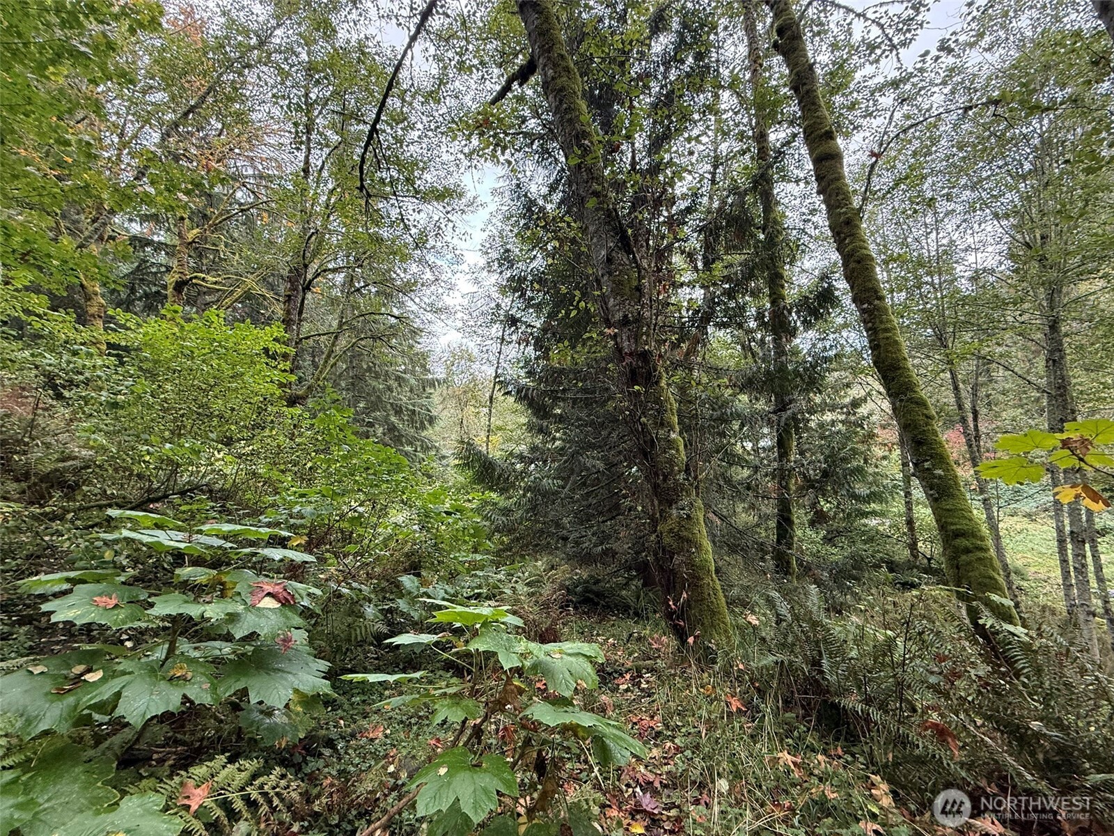 376 Xx E Lake Walker Drive A Property Photo 12