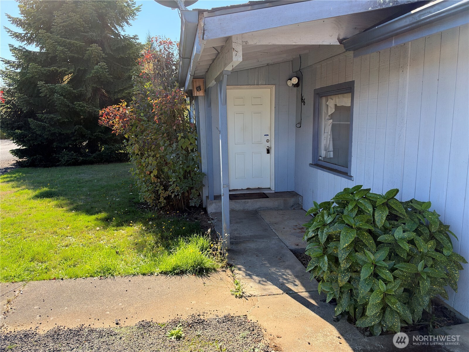 166 Allman Road Property Photo 4