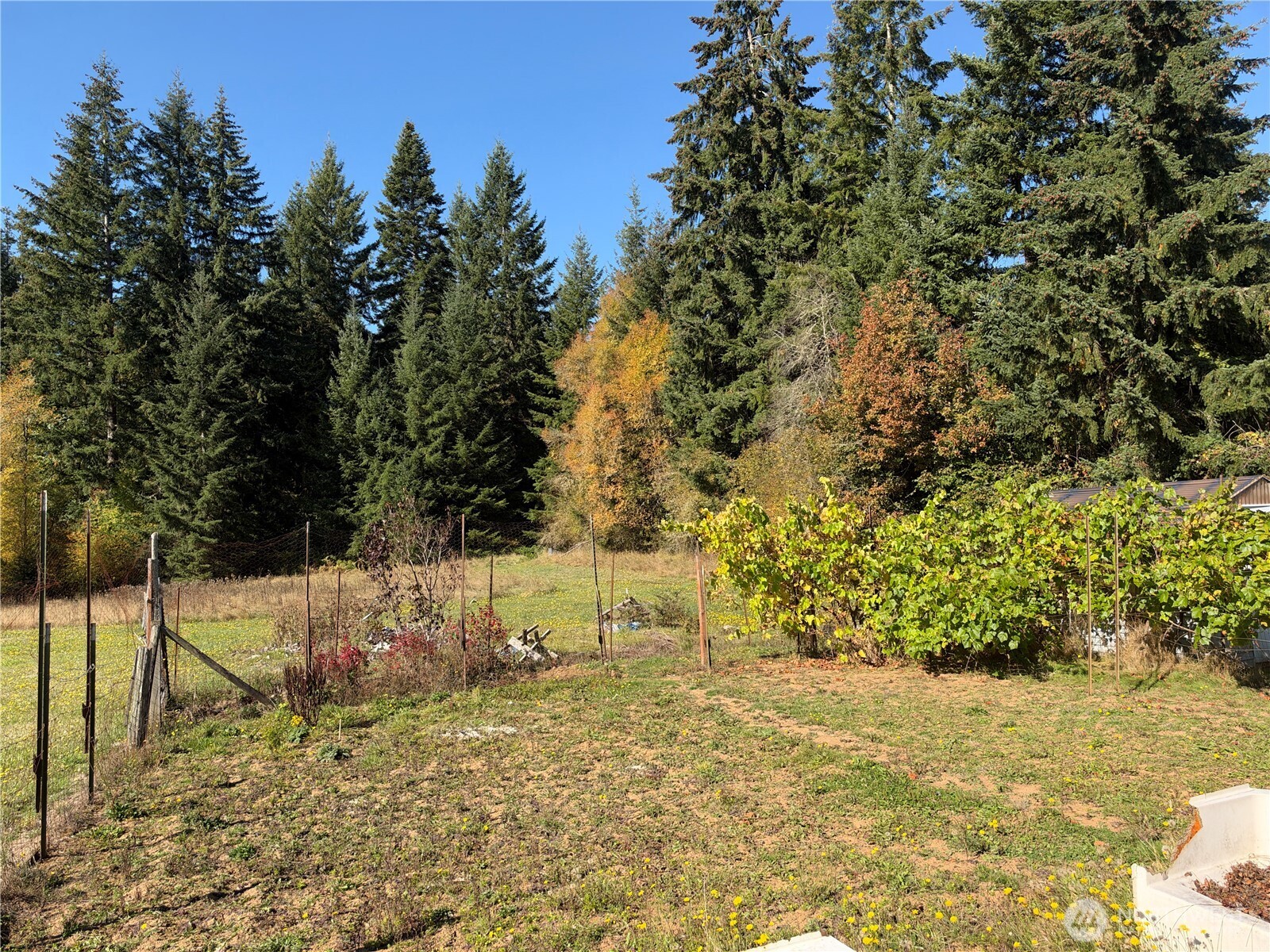 166 Allman Road Property Photo 6