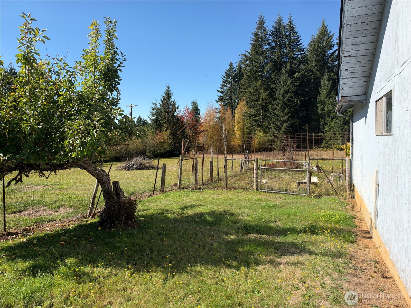 166 Allman Road Property Photo 10