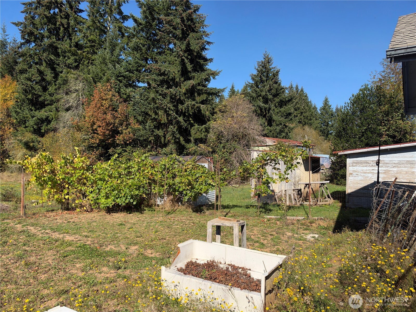166 Allman Road Property Photo 14