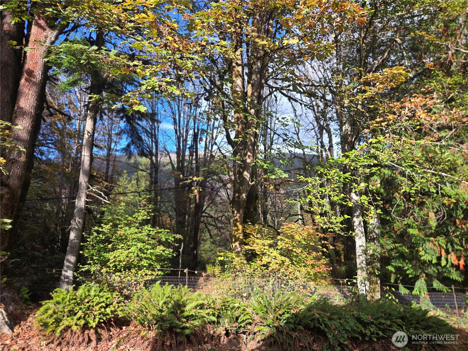 71403 Old Cascade Highway Property Photo 11