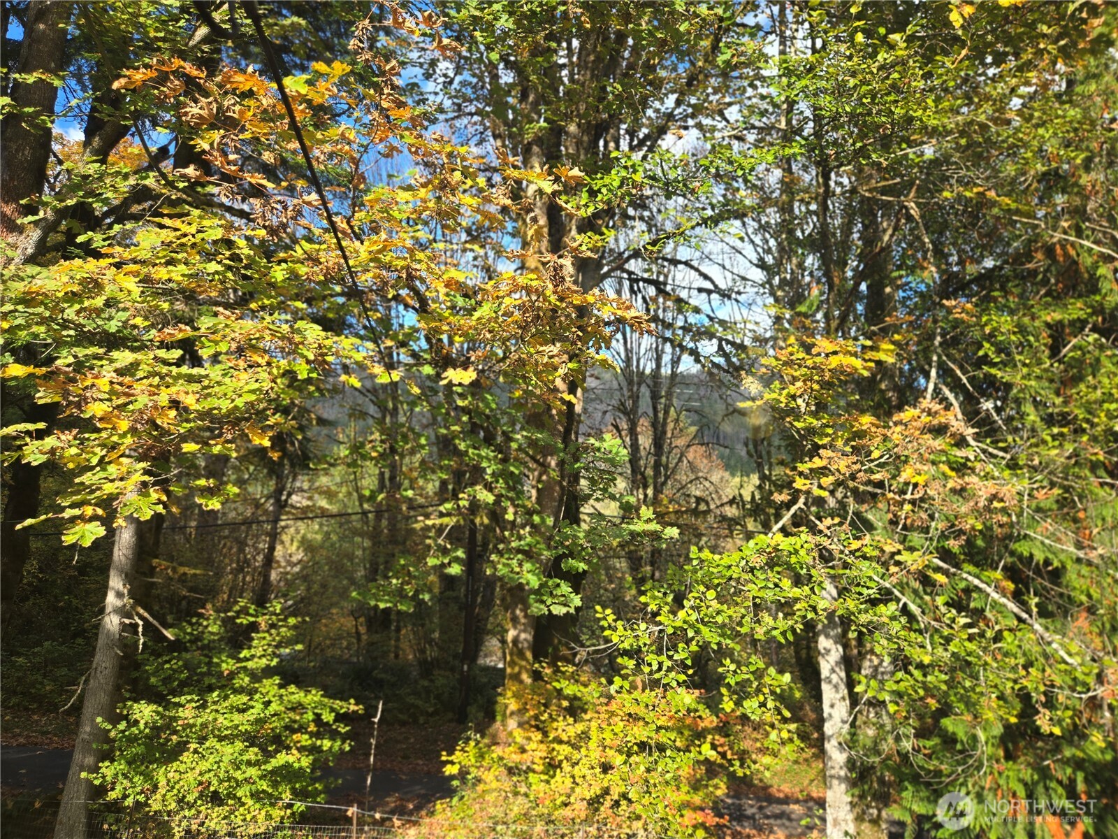 71403 Old Cascade Highway Property Photo 16