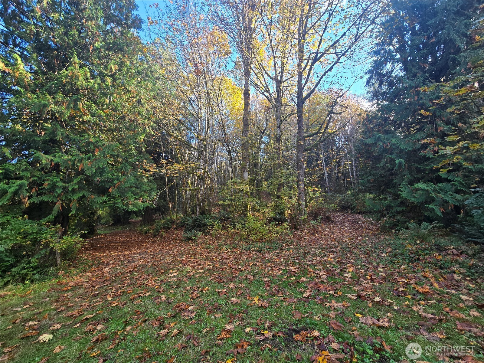 71403 Old Cascade Highway Property Photo 28