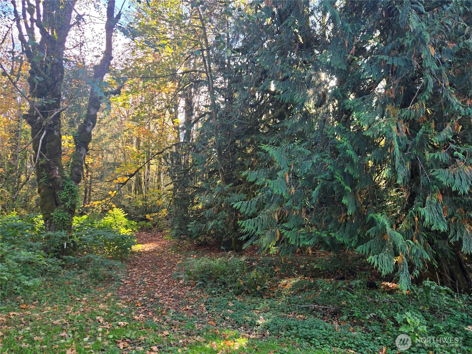 71403 Old Cascade Highway Property Photo 29