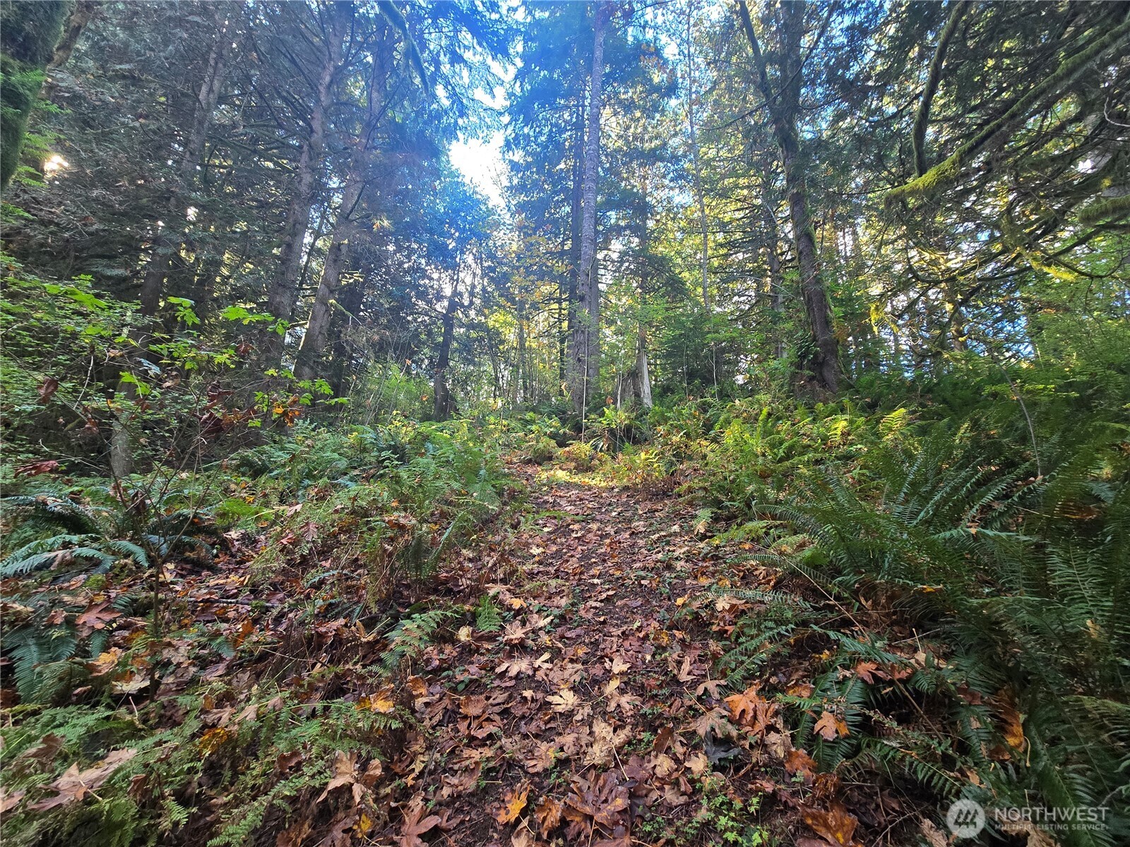 71403 Old Cascade Highway Property Photo 30