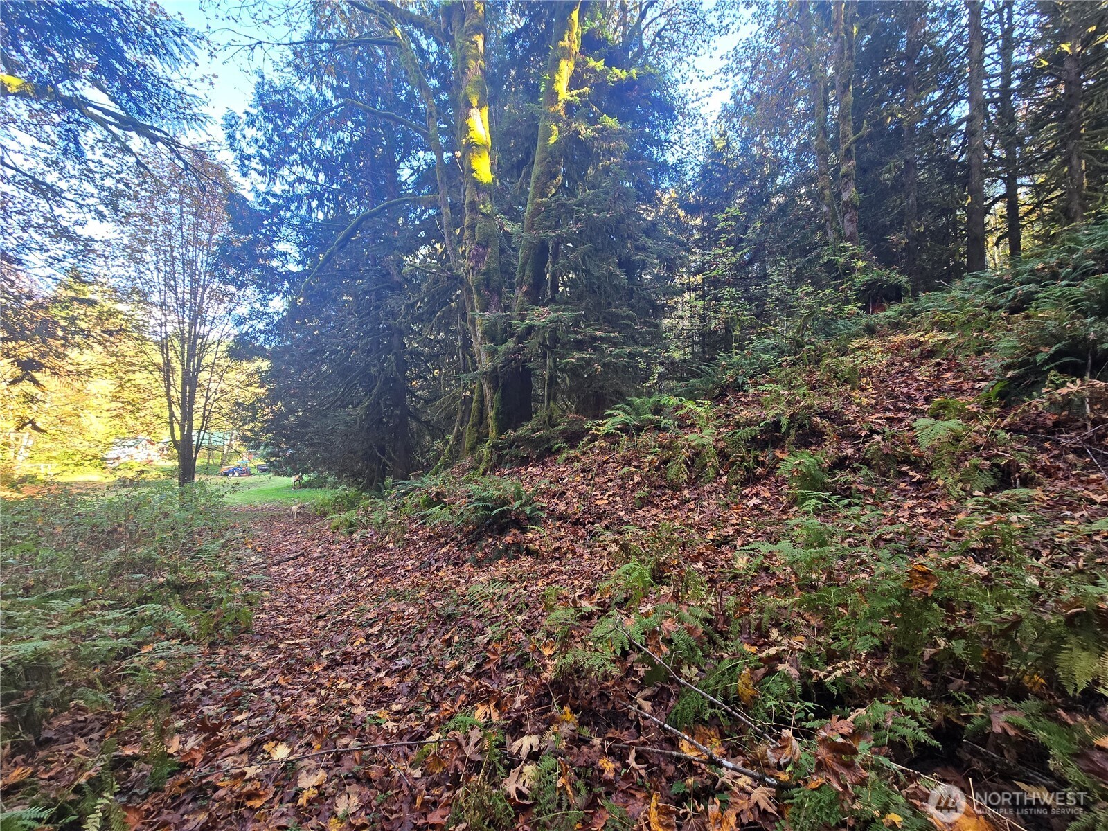 71403 Old Cascade Highway Property Photo 31
