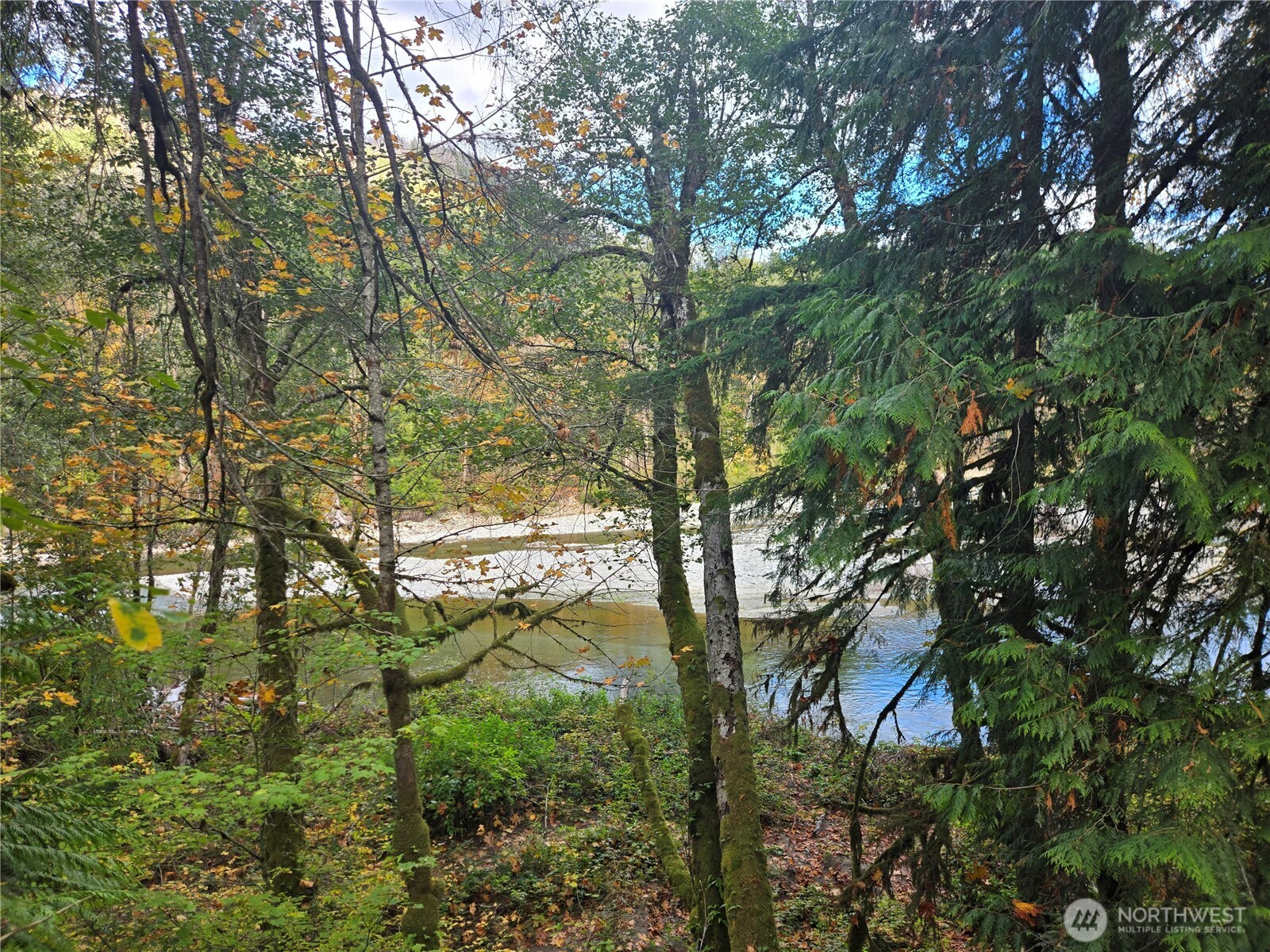 71403 Old Cascade Highway Property Photo 36
