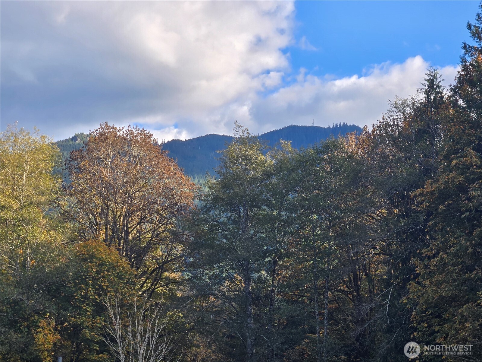 71403 Old Cascade Highway Property Photo 38