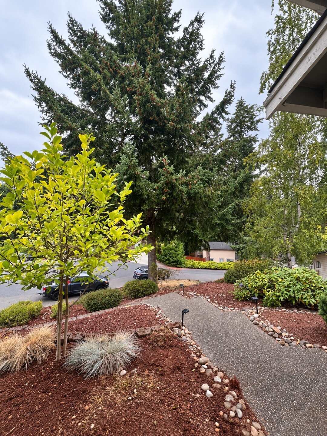 9914 71st Street Property Photo 24