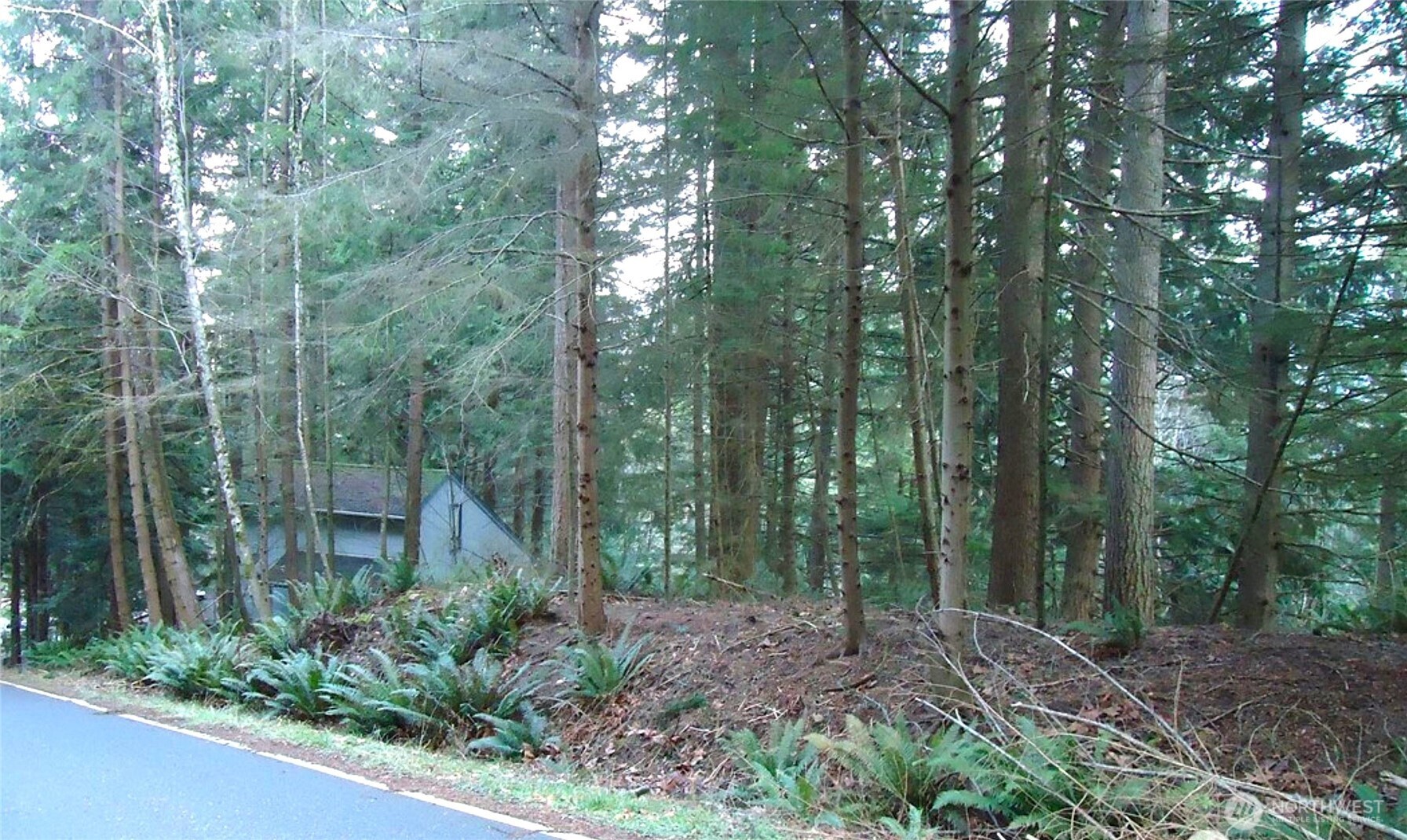 64 Louise View Drive Property Photo 1