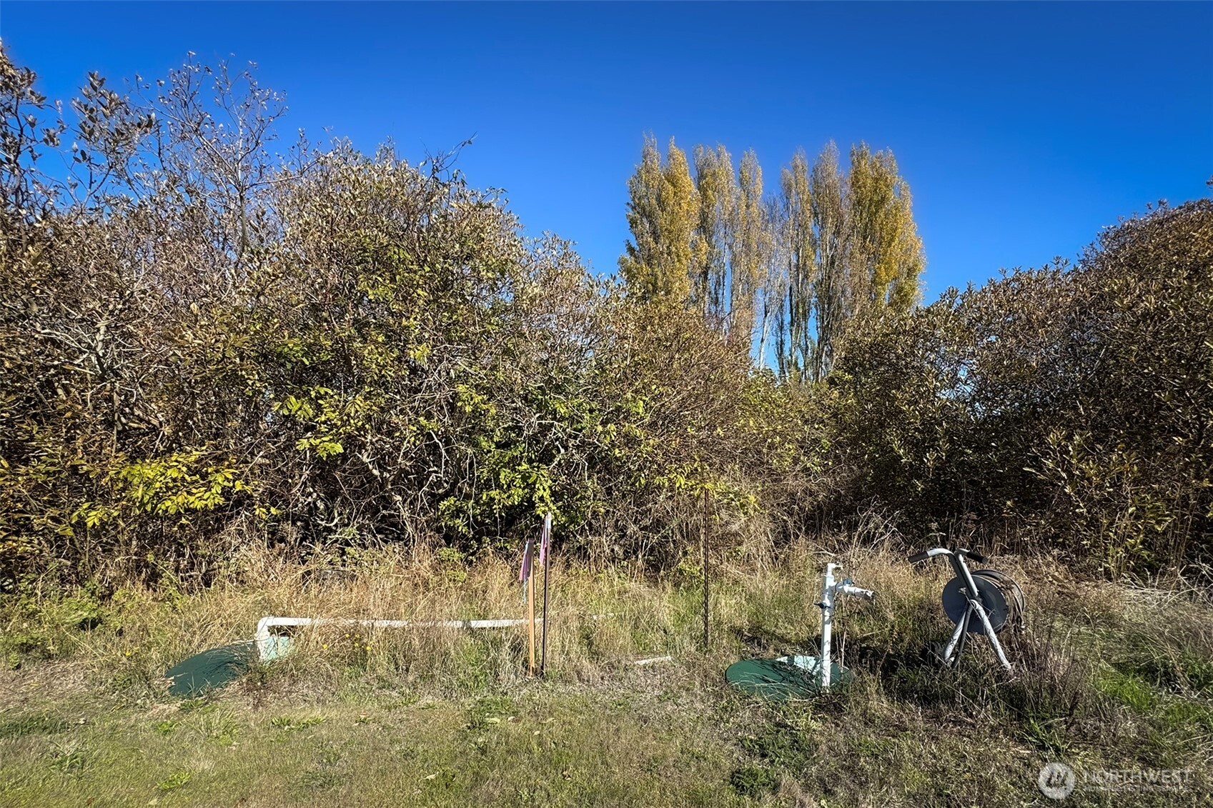 9999 Marine Drive Property Photo 12