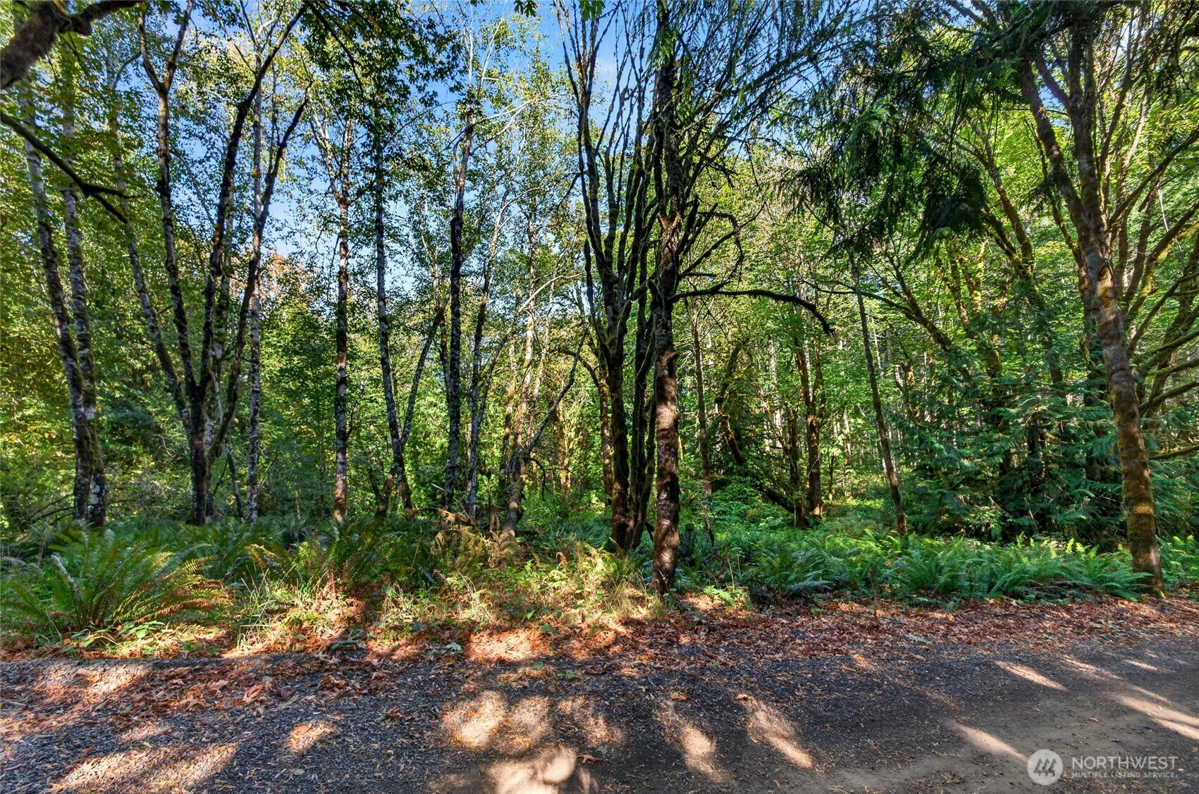 300 Partridge Drive Property Photo 1