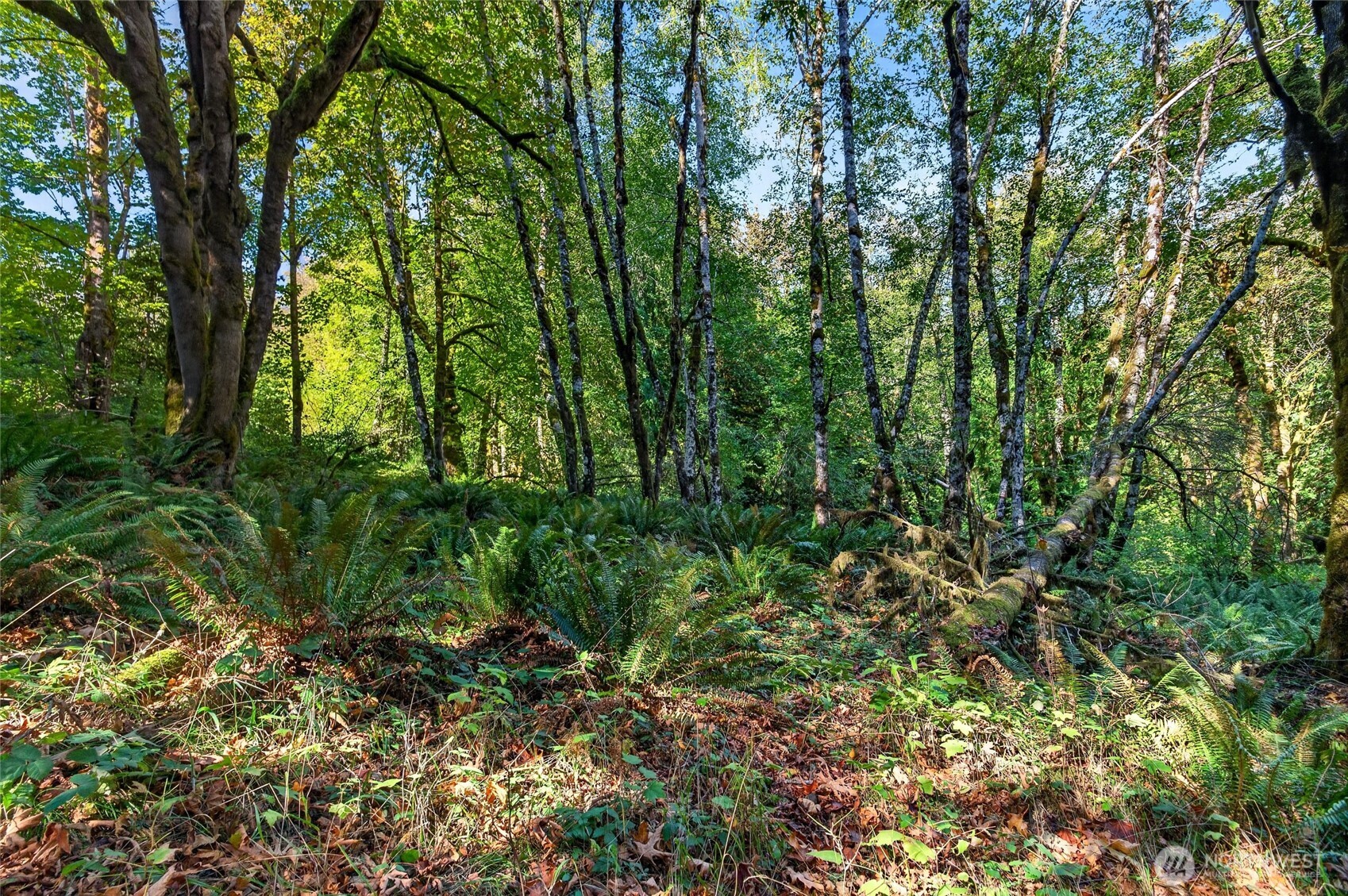 300 Partridge Drive Property Photo 4