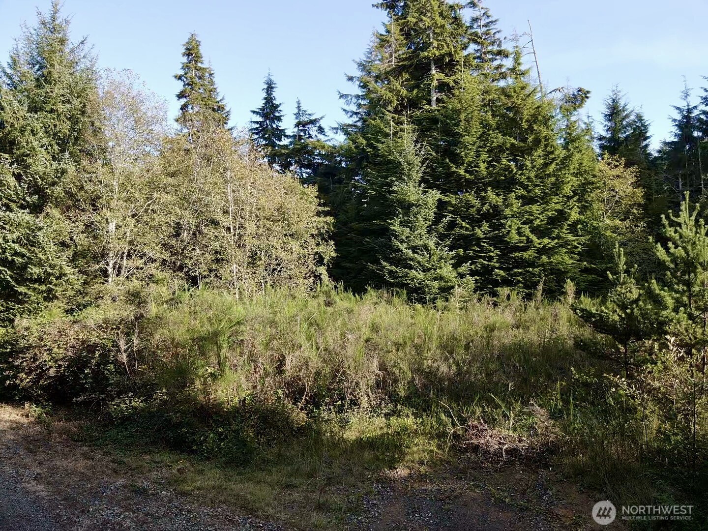 0 X Lyons Lane Property Photo 8