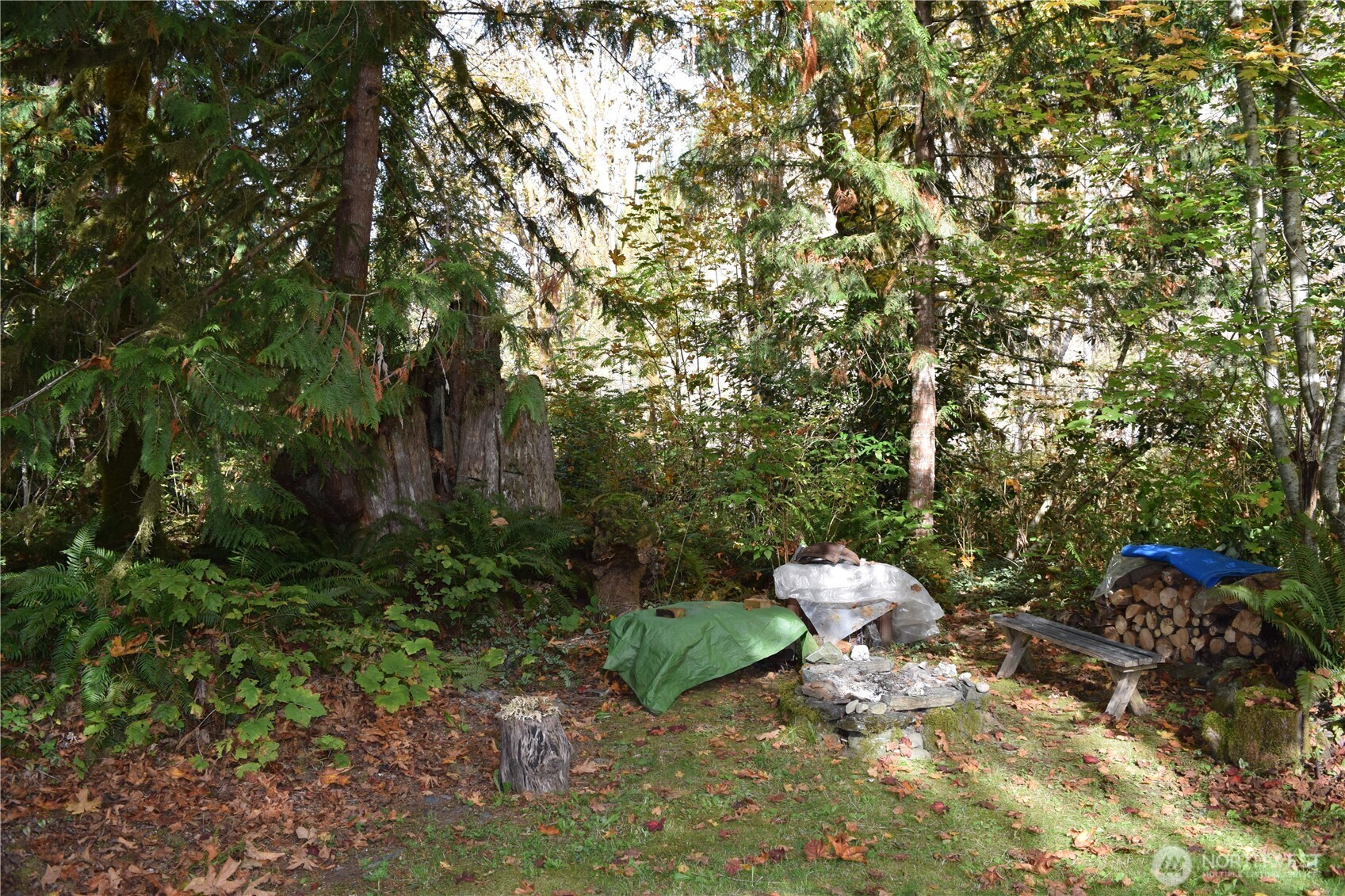 14833 Mountain View Lane Property Photo 16