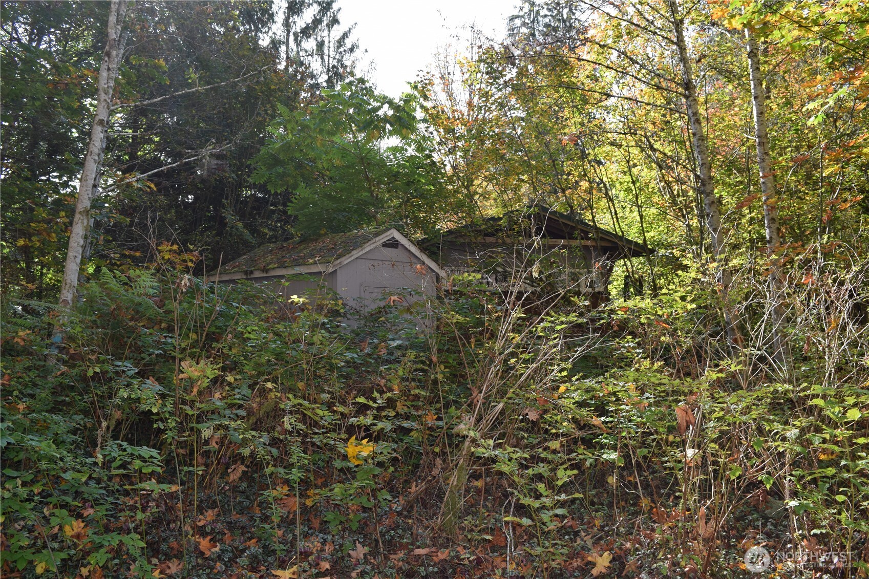 14833 Mountain View Lane Property Photo 20