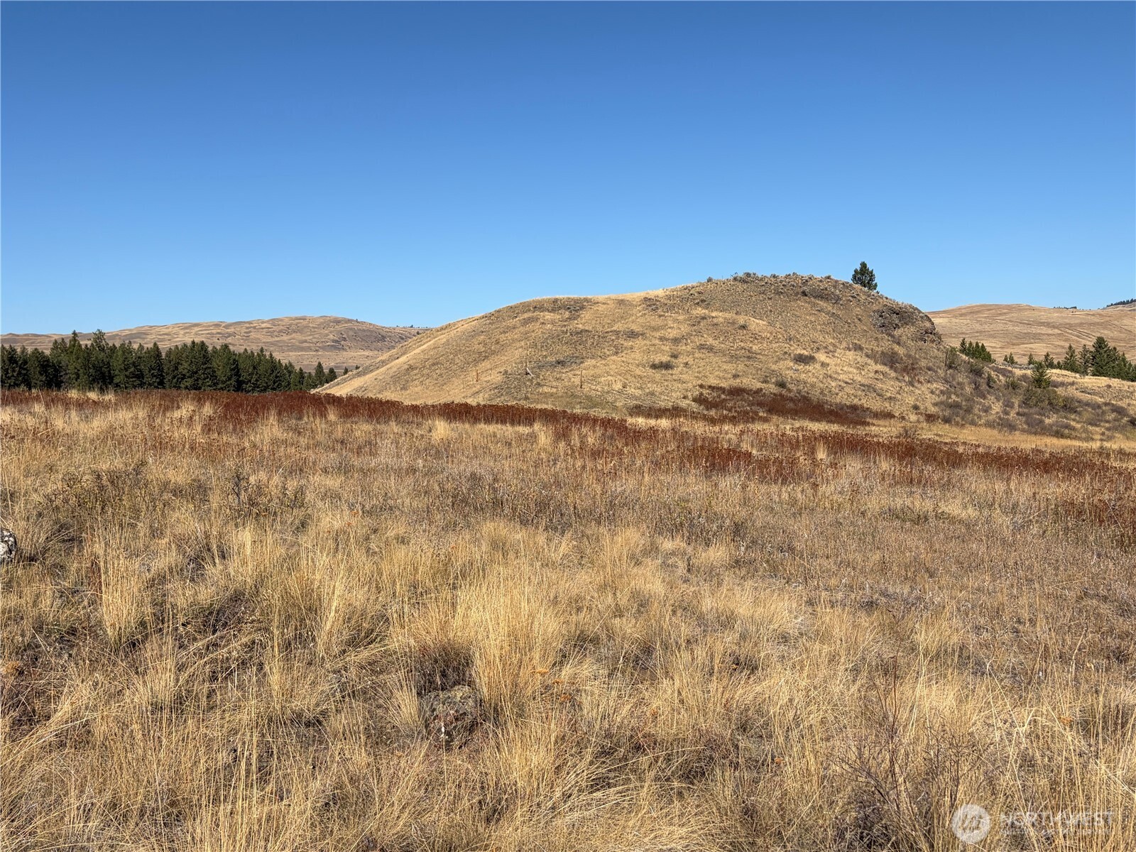 0 Tbd Mountain View Dr Property Photo 3