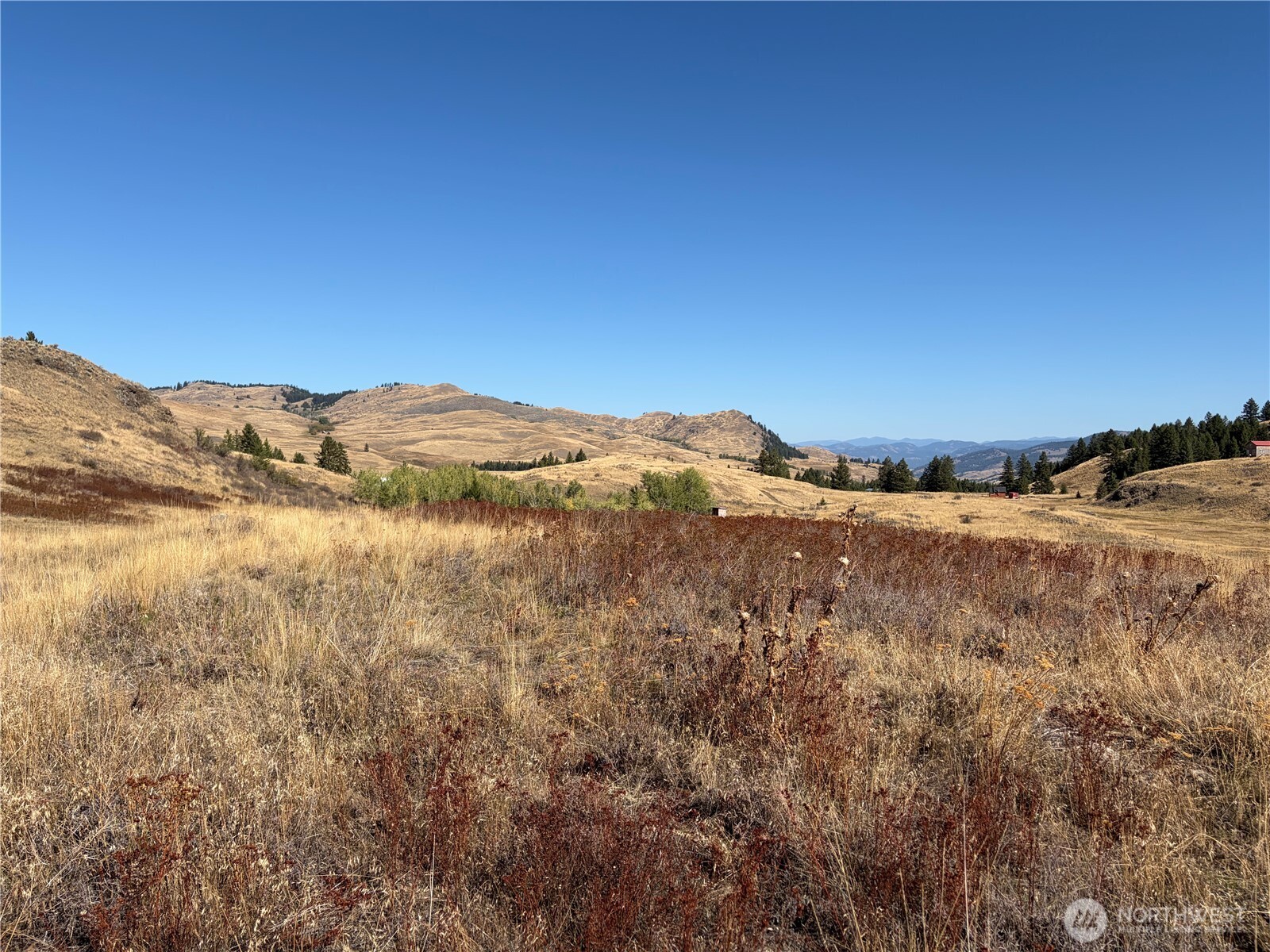 0 Tbd Mountain View Dr Property Photo 4