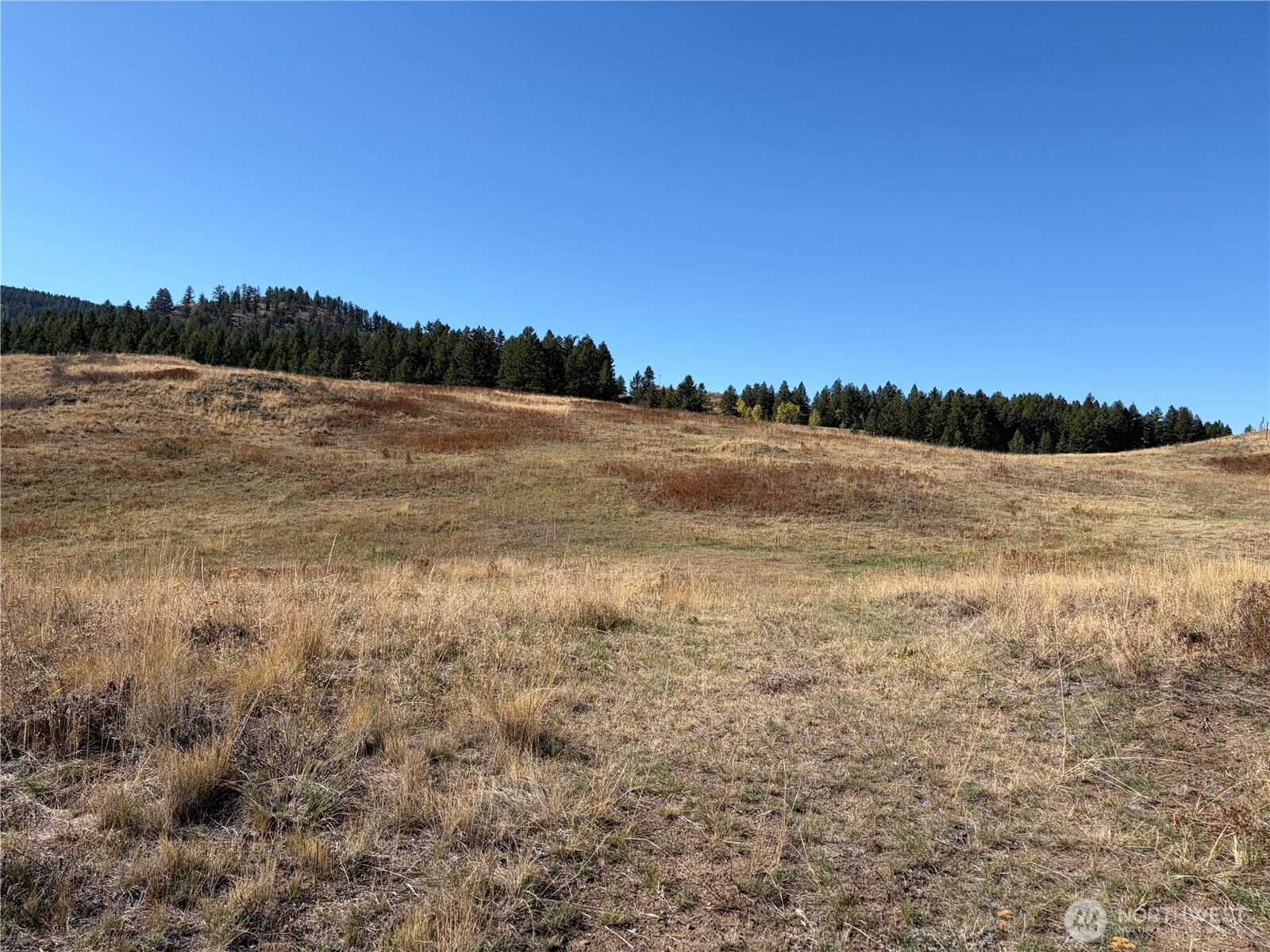 0 Tbd Mountain View Dr Property Photo 8