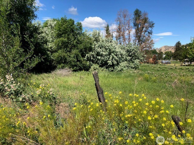 613 Pioneer Avenue Property Photo 3