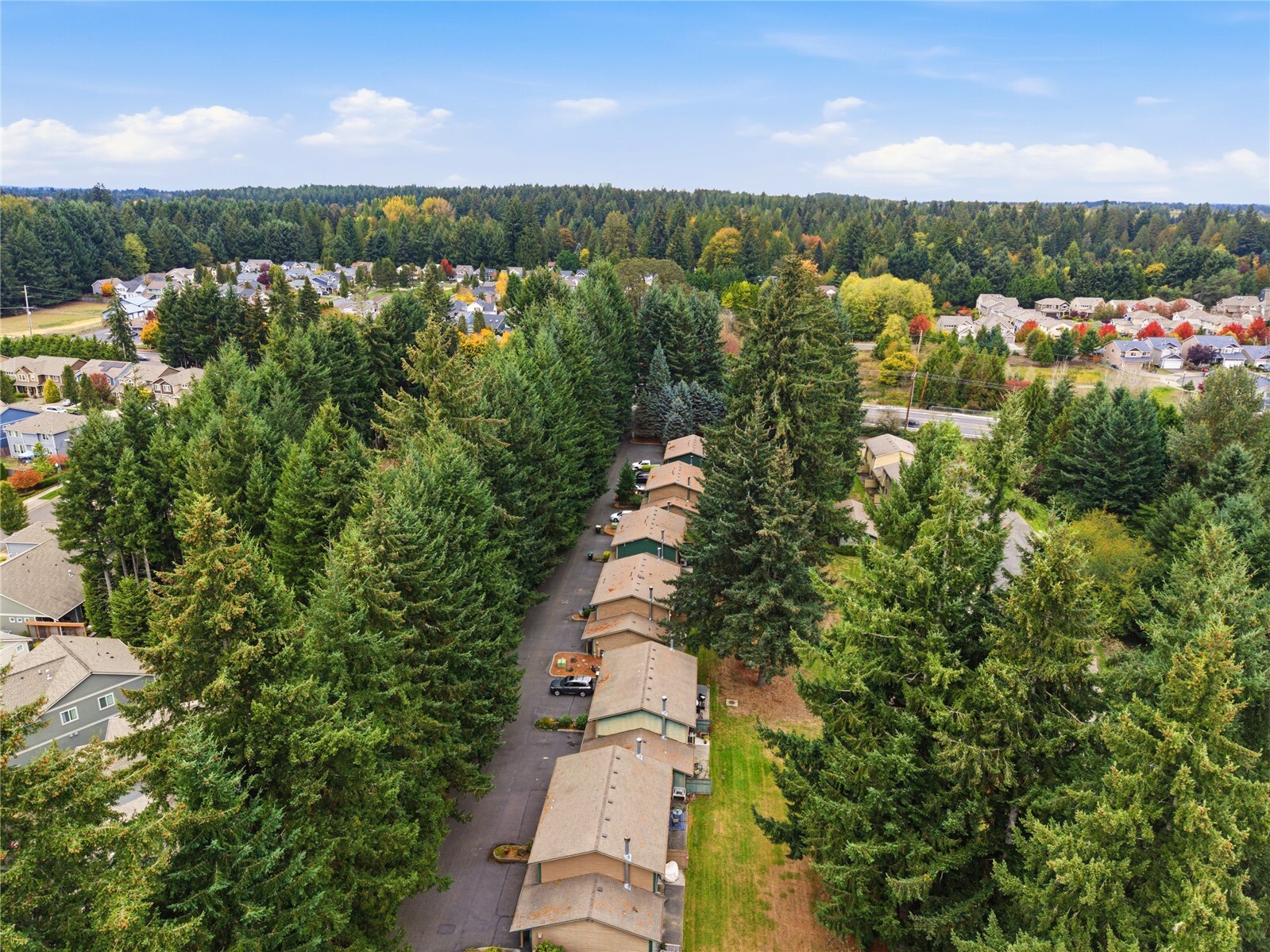 3217 Yelm Highway 18 Property Photo 27