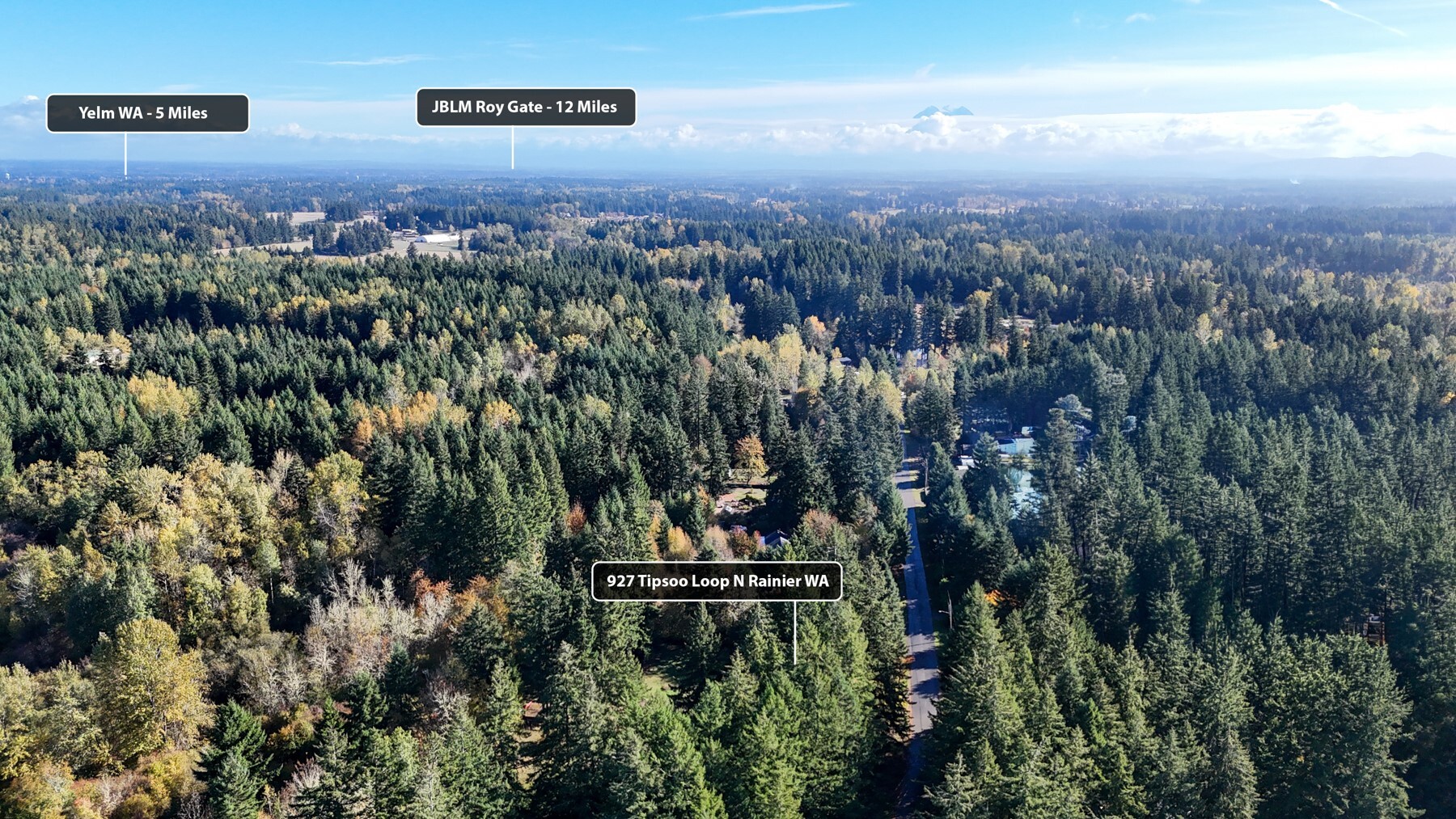 927 N Tipsoo Loop Property Photo 3