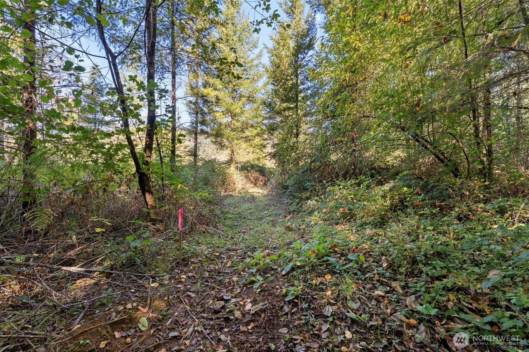 108 Barton Way Property Photo 11