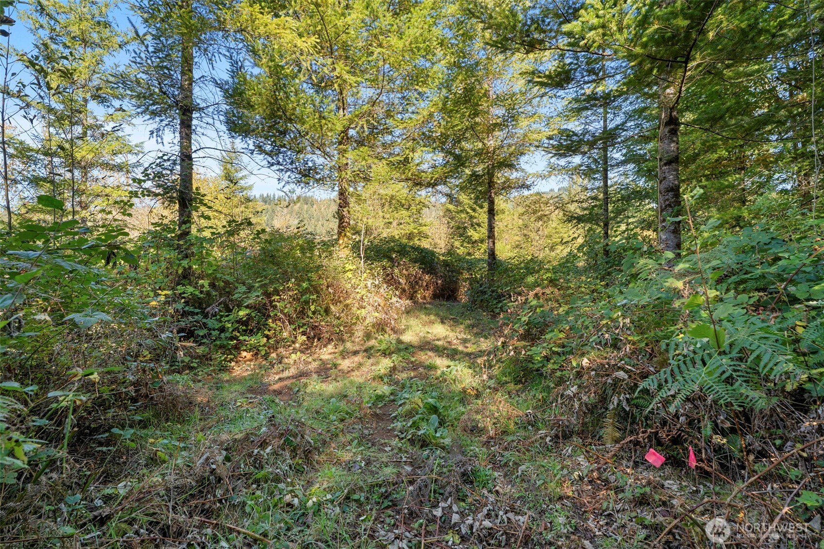 108 Barton Way Property Photo 13