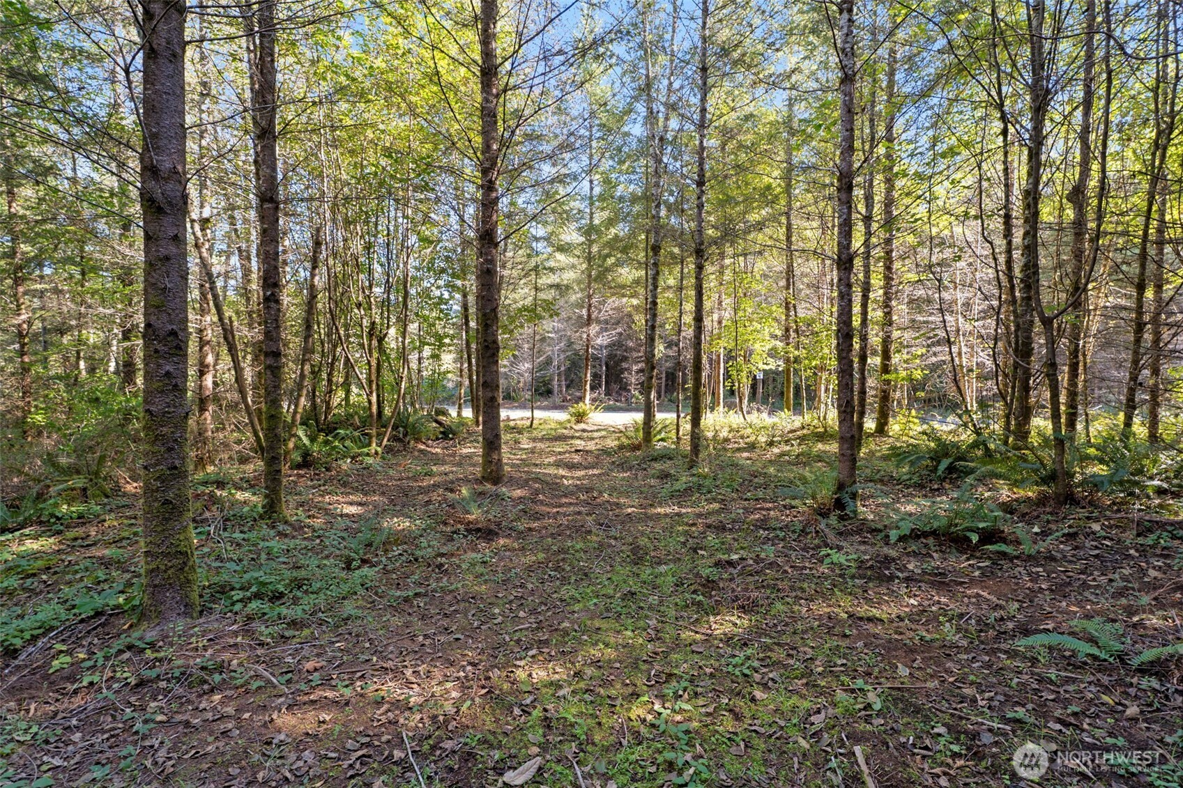108 Barton Way Property Photo 16