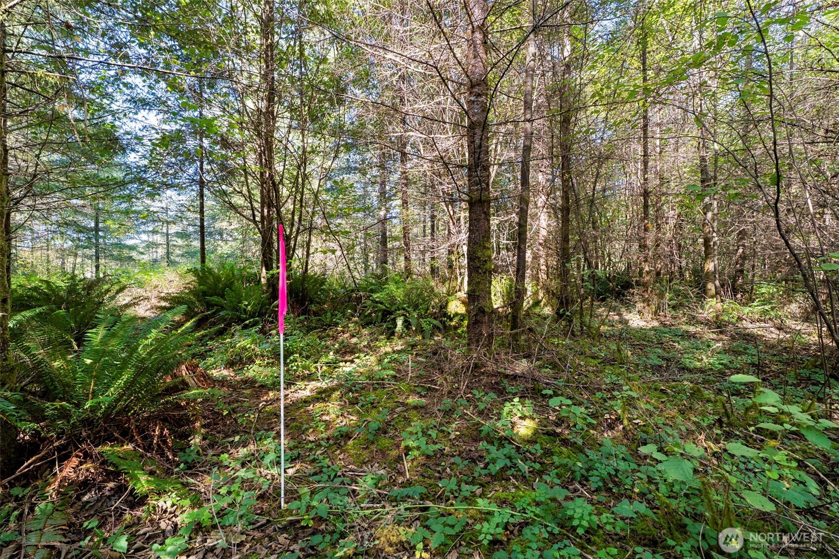 108 Barton Way Property Photo 26