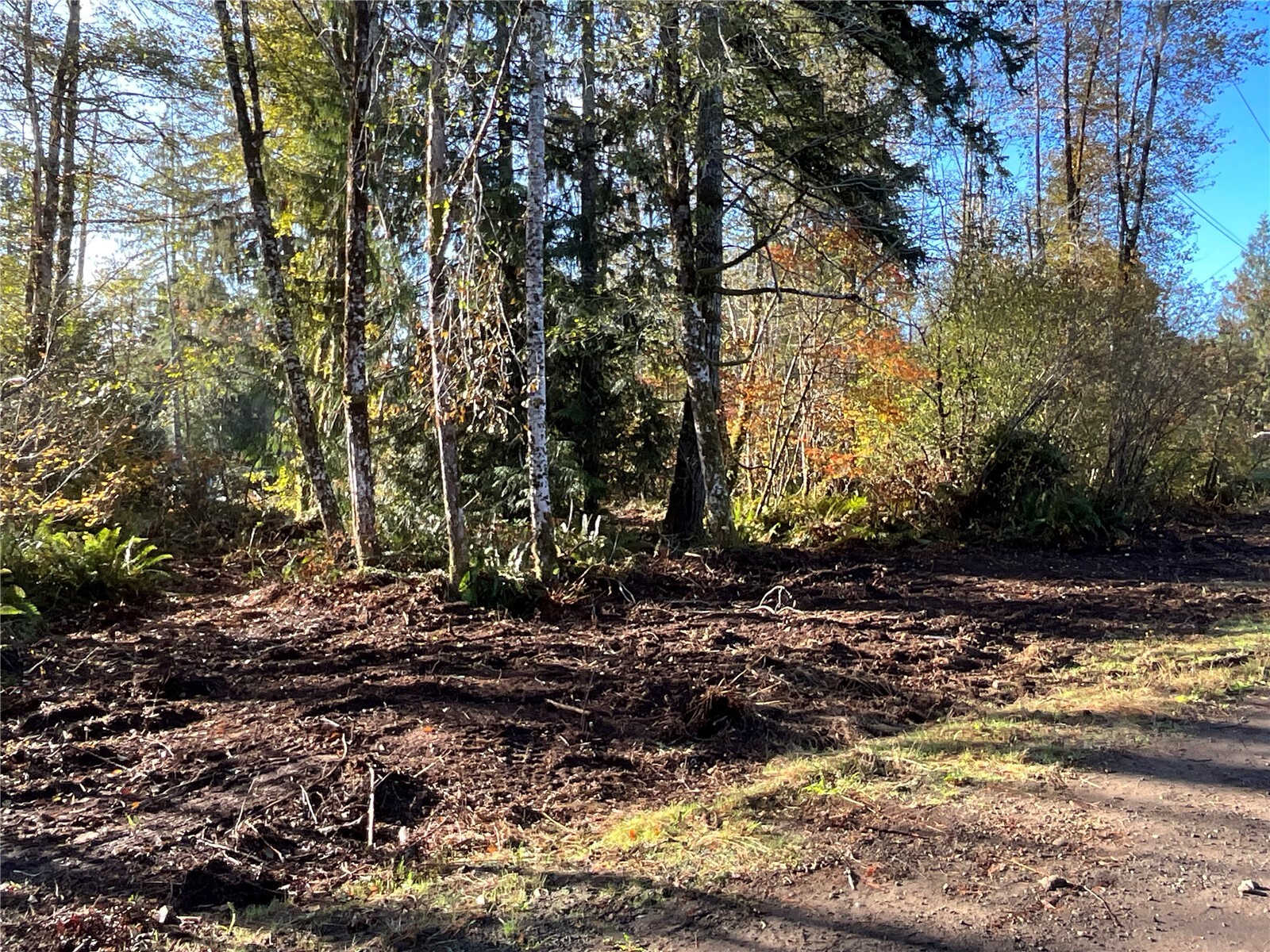 11 X W Hamma Hamma Drive Property Photo 1