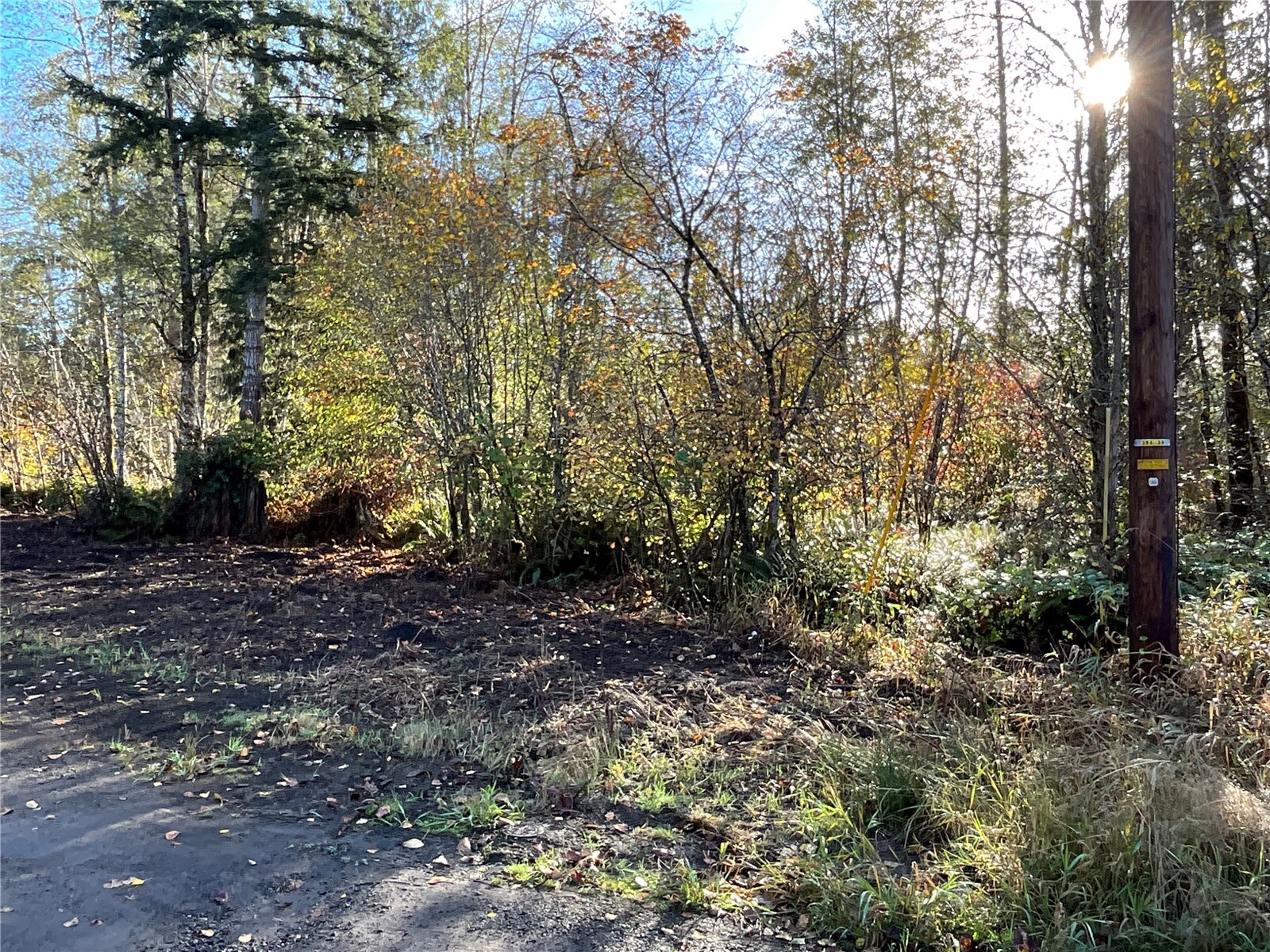 11 X W Hamma Hamma Drive Property Photo 2