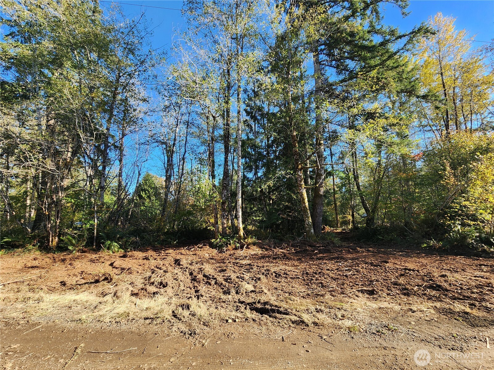 11 X W Hamma Hamma Drive Property Photo 3
