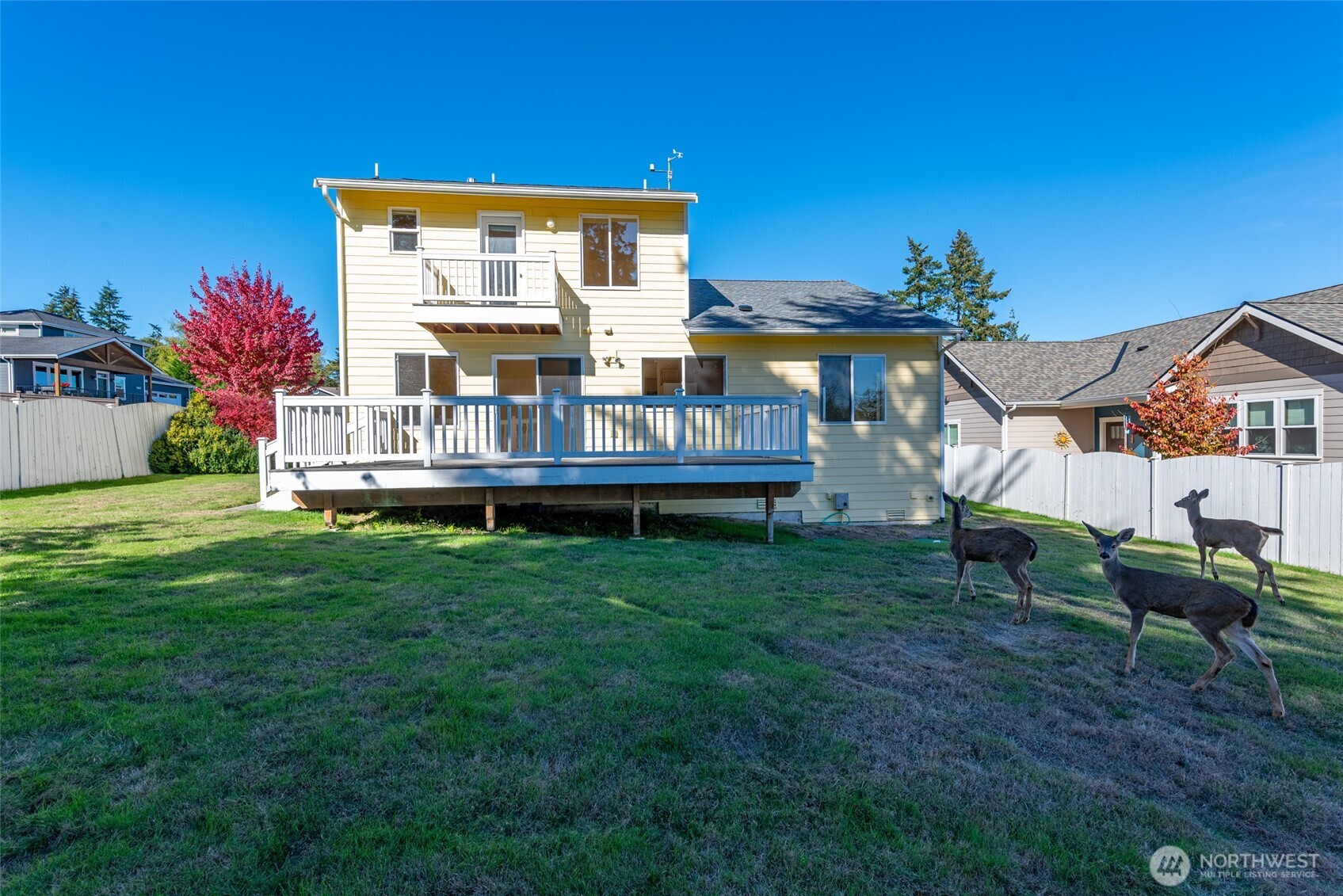 1316 Primrose Way Property Photo 15