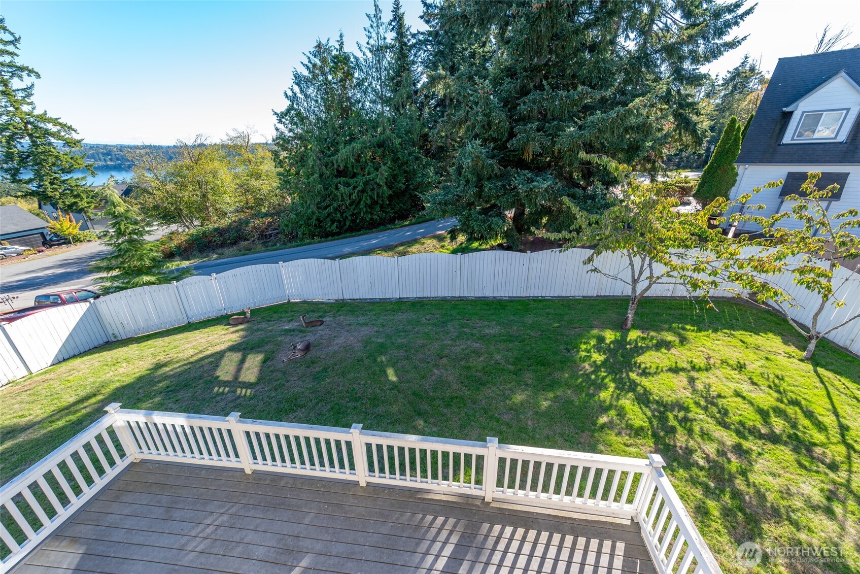 1316 Primrose Way Property Photo 17