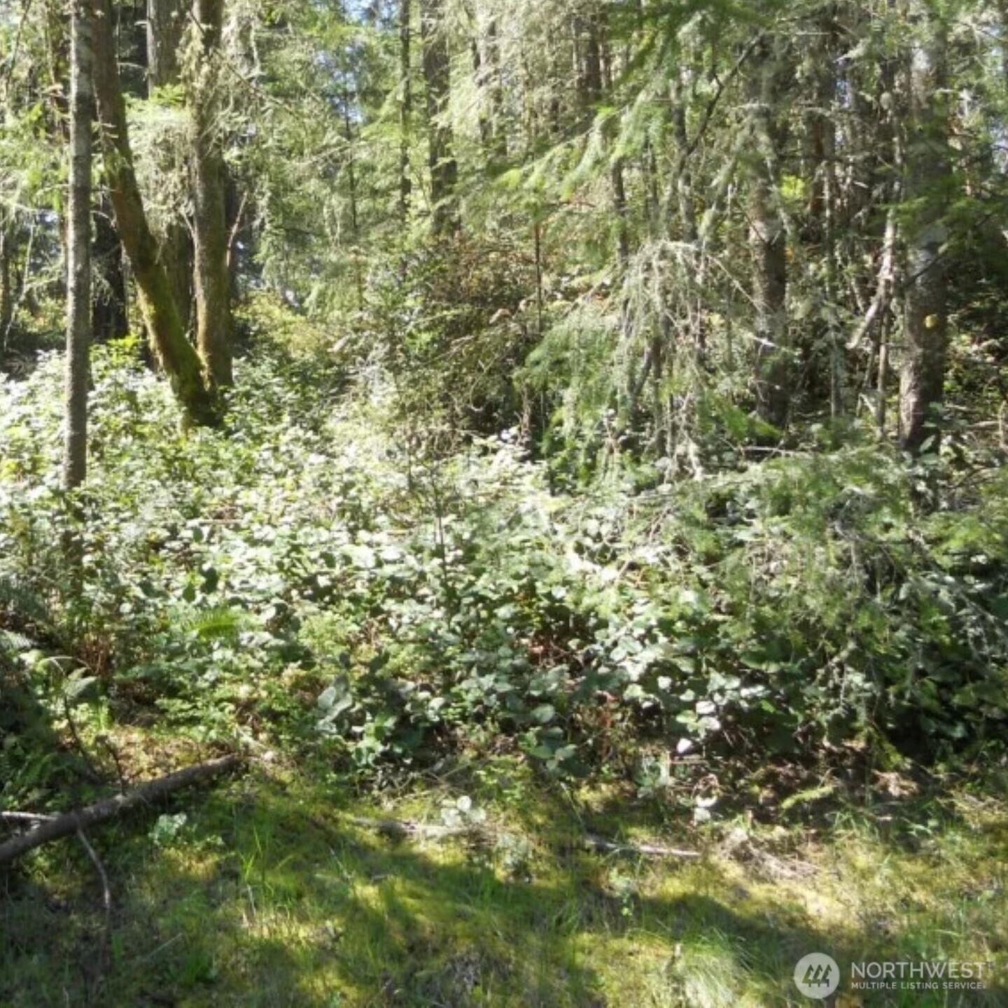 10510 Olympic Place Property Photo 1