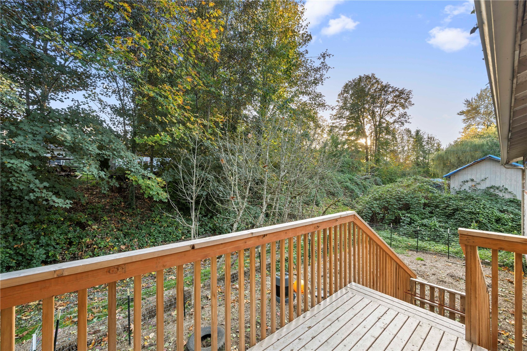 35814 157th Place Property Photo 28